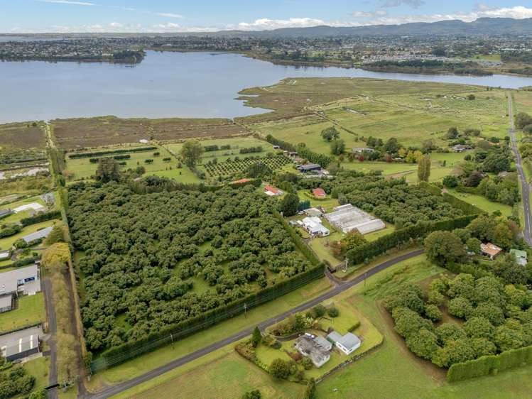 2A Oikimoke Road Te Puna_15