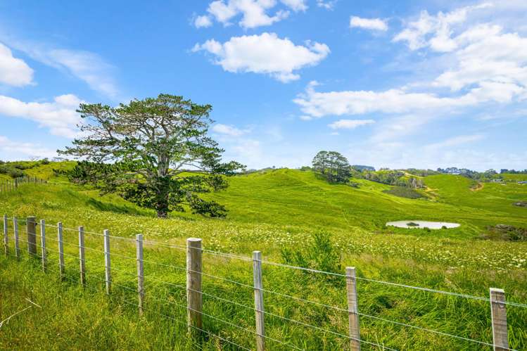 515 Kahikatea Flat Road Waitoki_11