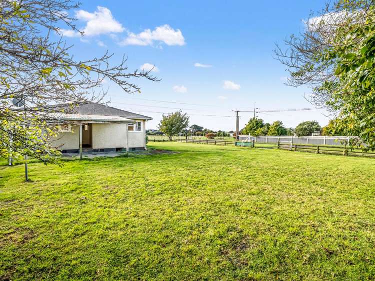 55 Wilson Street Waverley_27