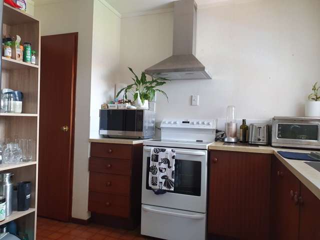 1/20 Allenby Road Panmure_4