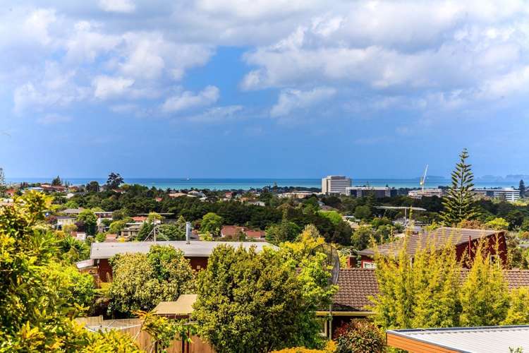 56a Monarch Avenue Hillcrest_4