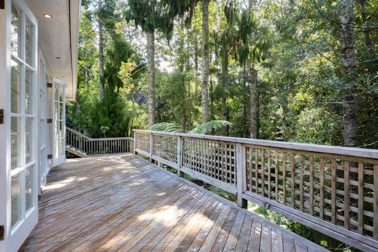 5 Kaurimu Rise Titirangi_9