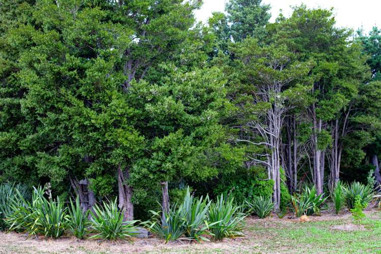 Lots 10-24 54a Redcliffs Road Kerikeri_5