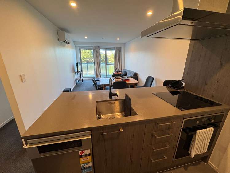 6 Winchester Street Grey Lynn_24