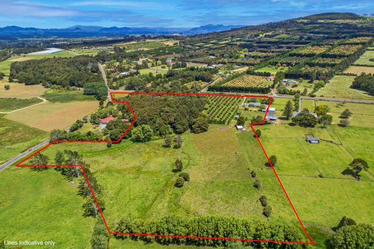 1701 State Highway 14 Maungatapere_21