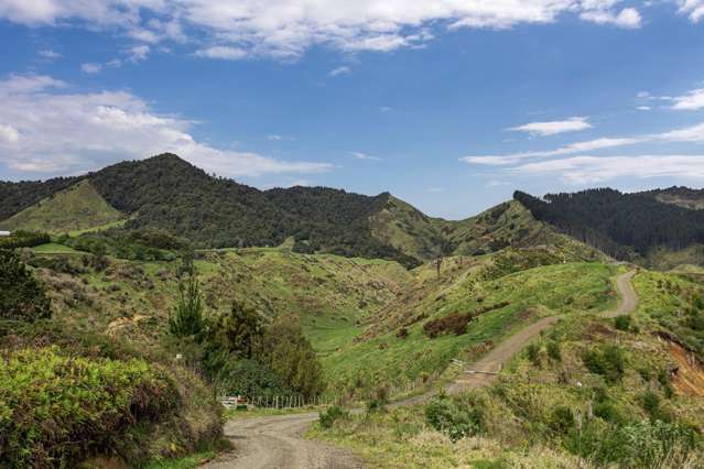 284 McCarthy Road Opotiki_4