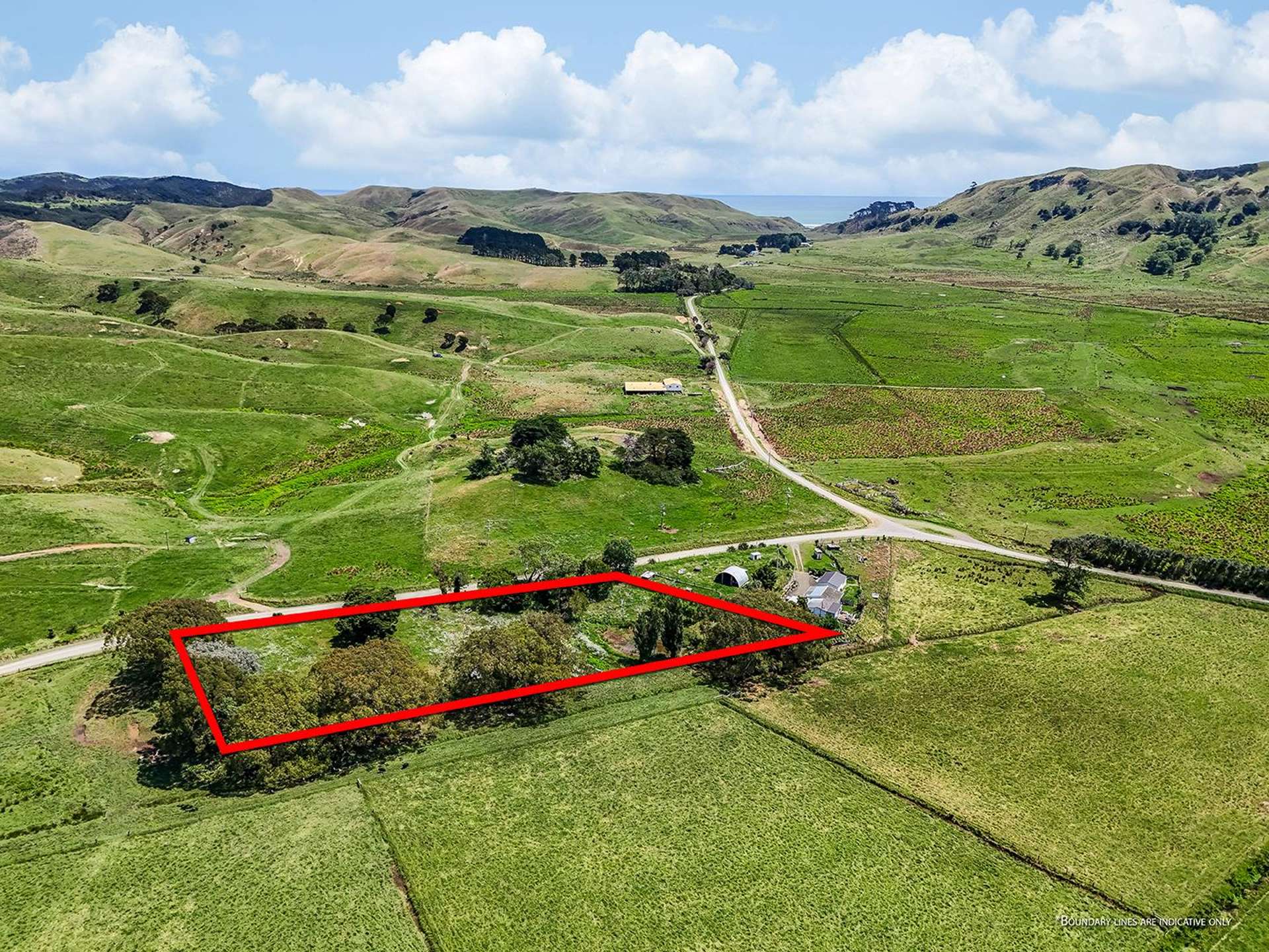 603 Te Akau South Road Te Akau_0