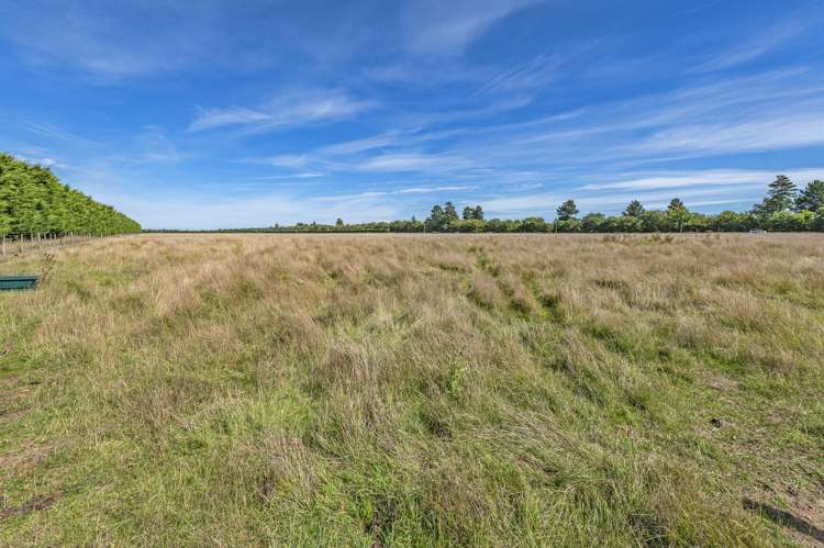 608 Burnham School Road Burnham_14