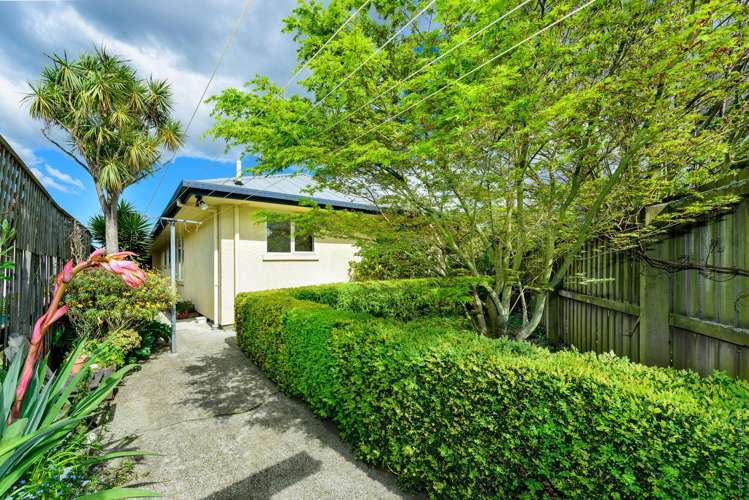 15a Harrow Street Phillipstown_23