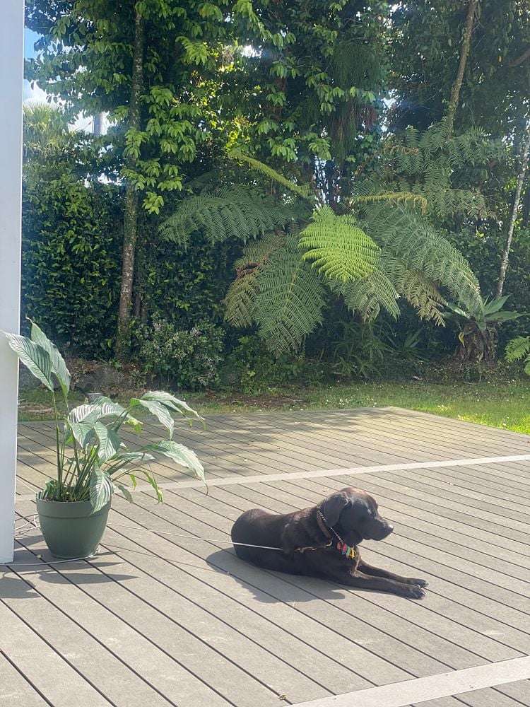 1078 Scenic Drive North Swanson_6