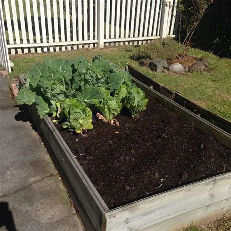 286 King Street Temuka_12