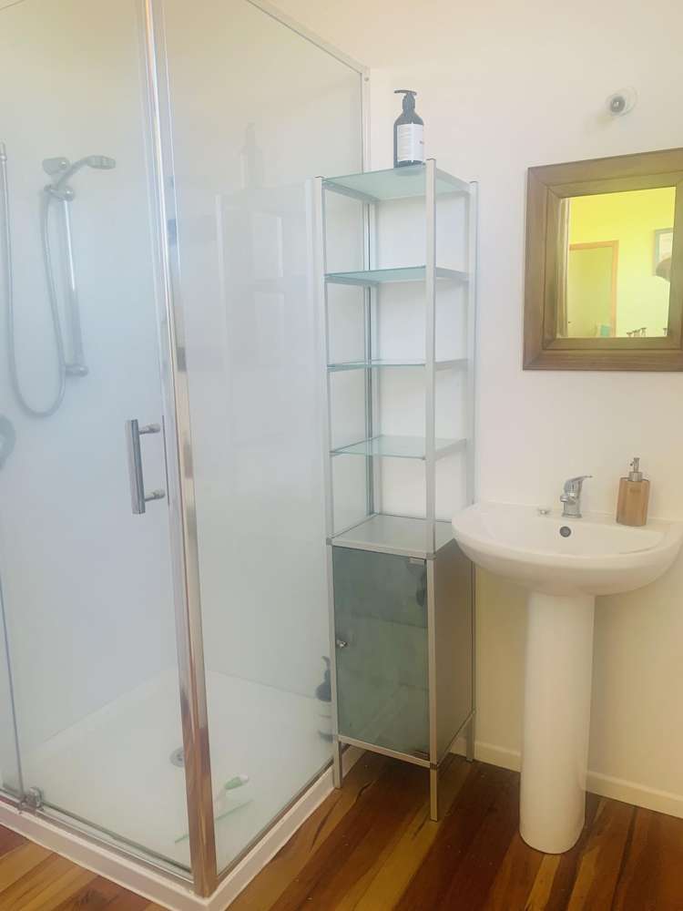 231B Morgan Road Matamata_15