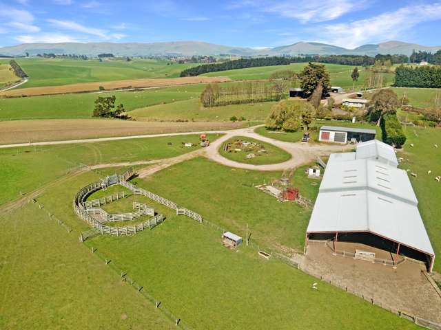 Attractive sheep and beef property with options