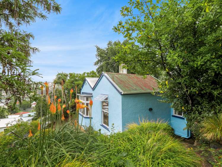 50 Carson Street Mornington_23