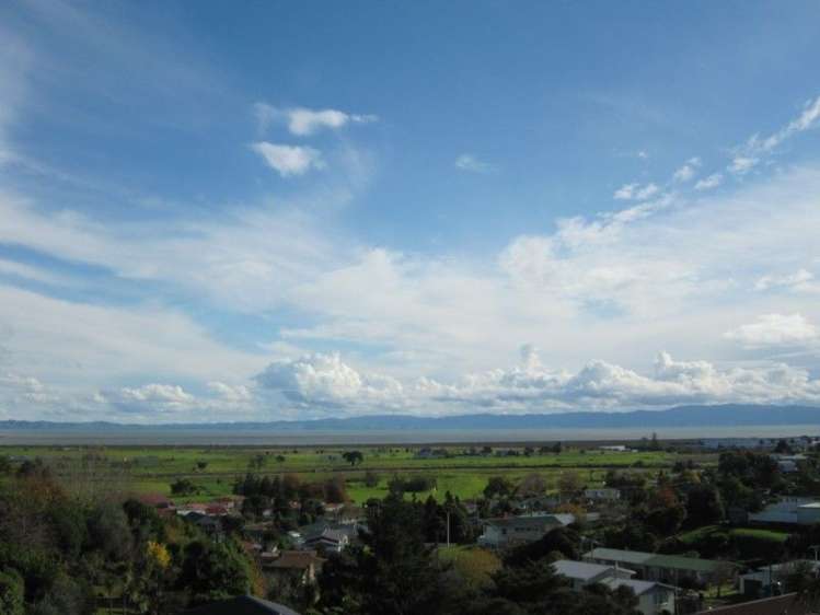 104 Alexander Close Thames_10