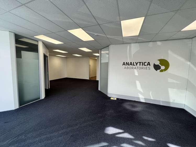 24 Sydney Street Petone_2