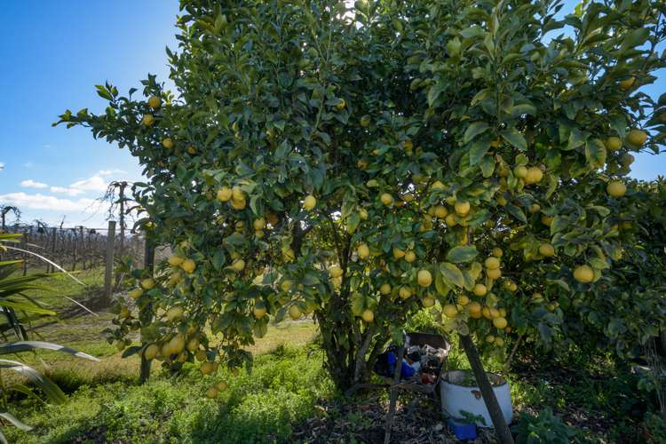 130 King Edward Street Motueka_18