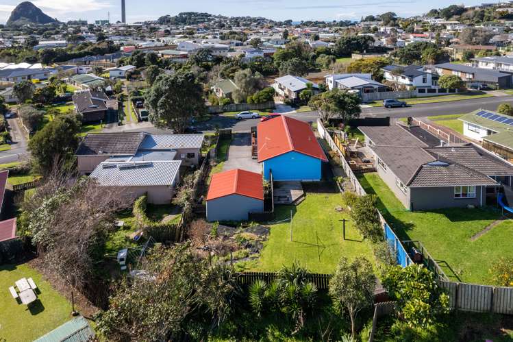 33 Norwich Avenue Spotswood_19