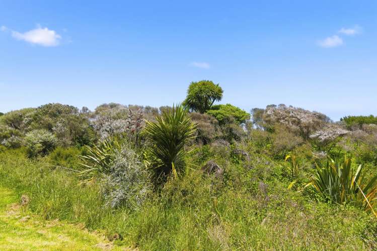 234 Te Hapua Road Te Horo_40