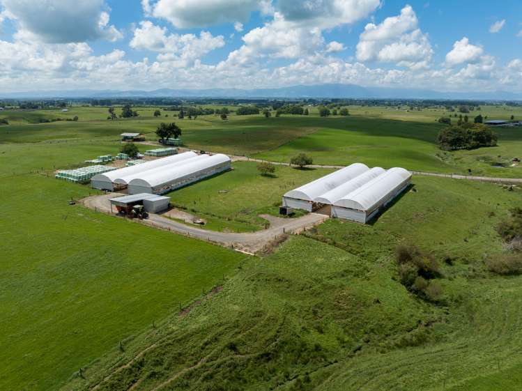 224 Herbert Road Morrinsville_9