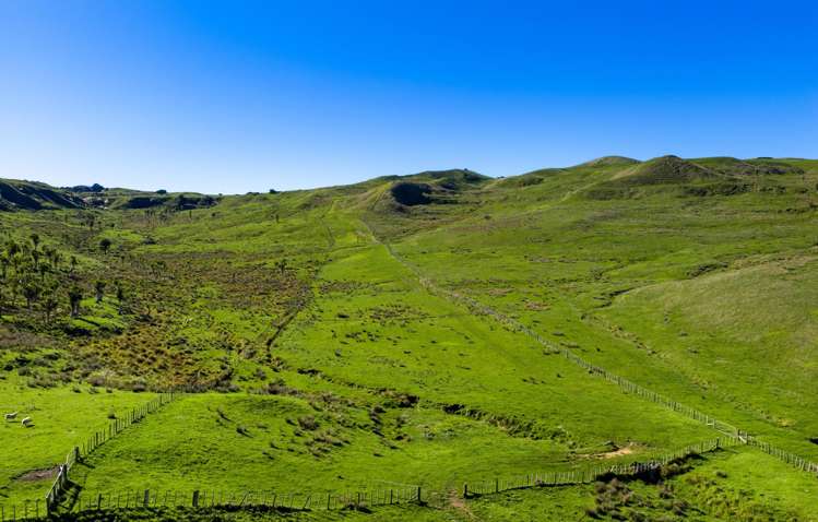 767 Te Akau Coast Road Te Akau_16