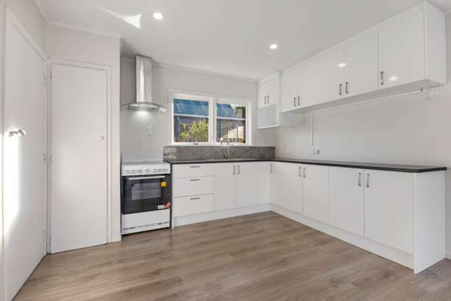 9C Princes Street Pukekohe_3