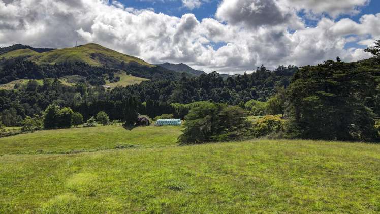 55 County Road Paeroa_5