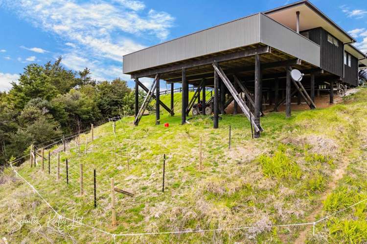 827 Tinopai Road Tinopai_29