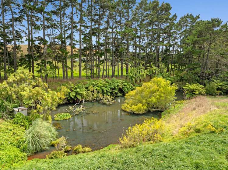 287 Taurangaruru Road Waiuku_31