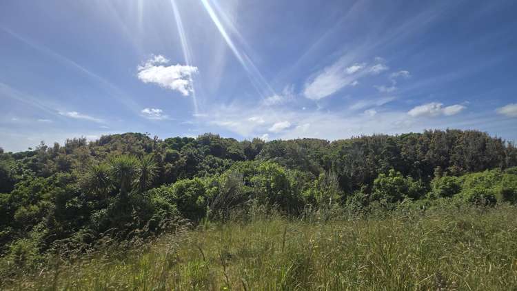 . Opourapa Road Rahotu_10