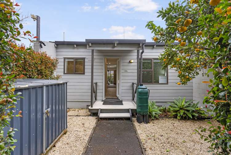 1/25A Vine Street Mangere East_0