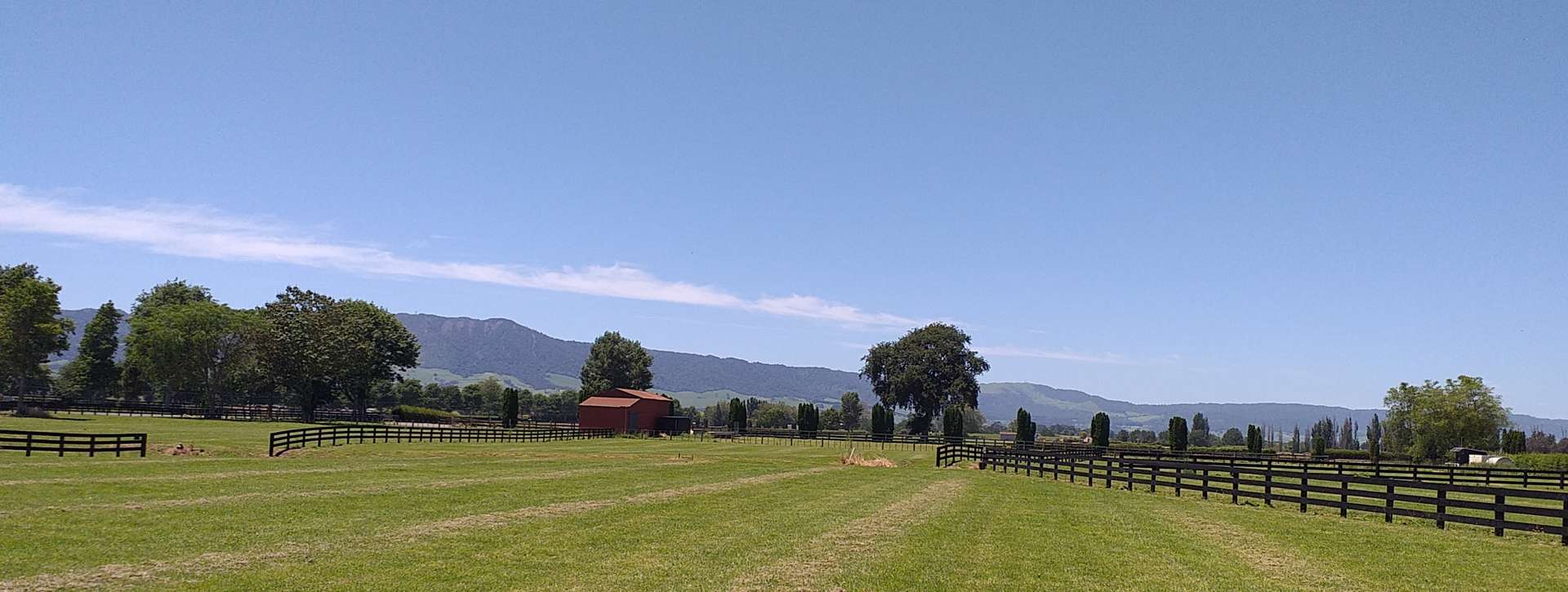 Tauranga Road Matamata_0