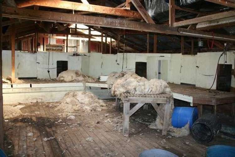 246 Howard Valley Road Kahurangi National Park_7