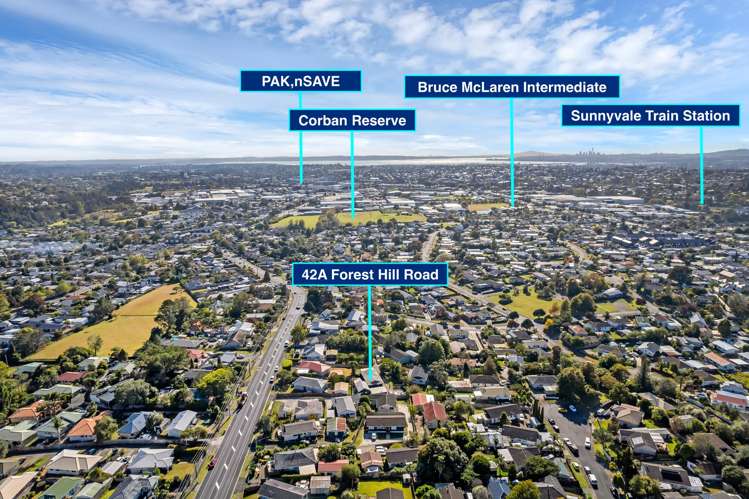 42a Forest Hill Road Henderson_27