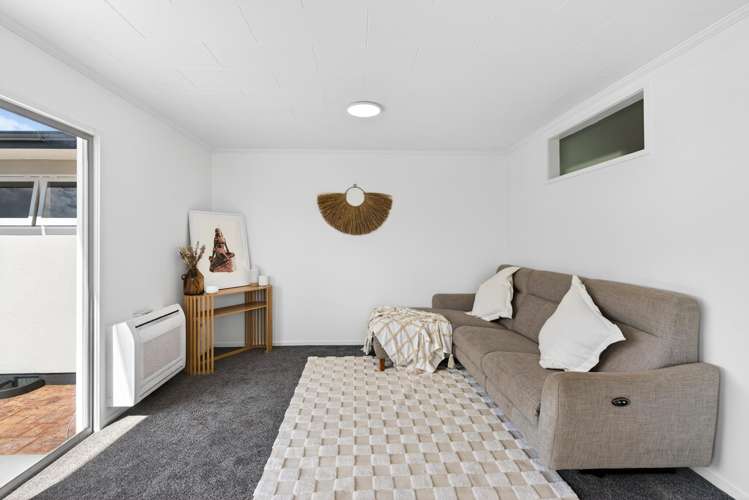 3/163 Vigor Brown Street Napier South_3