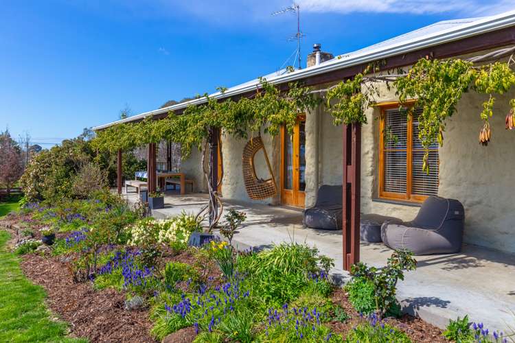 47 Inkerman Street Renwick_1