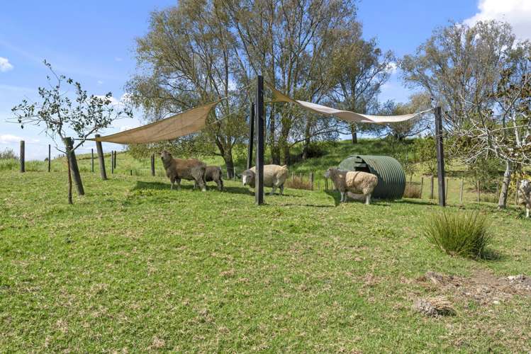 10 Bennett Street Port Albert_12