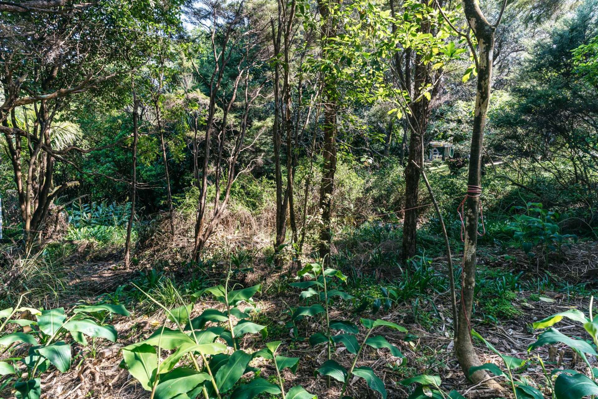 12 Obrien Road Omiha_0