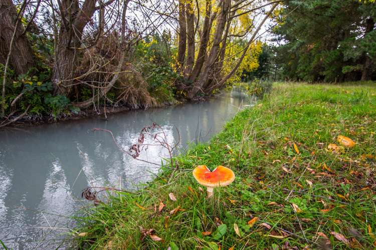 133 Langdales Road West Melton_17