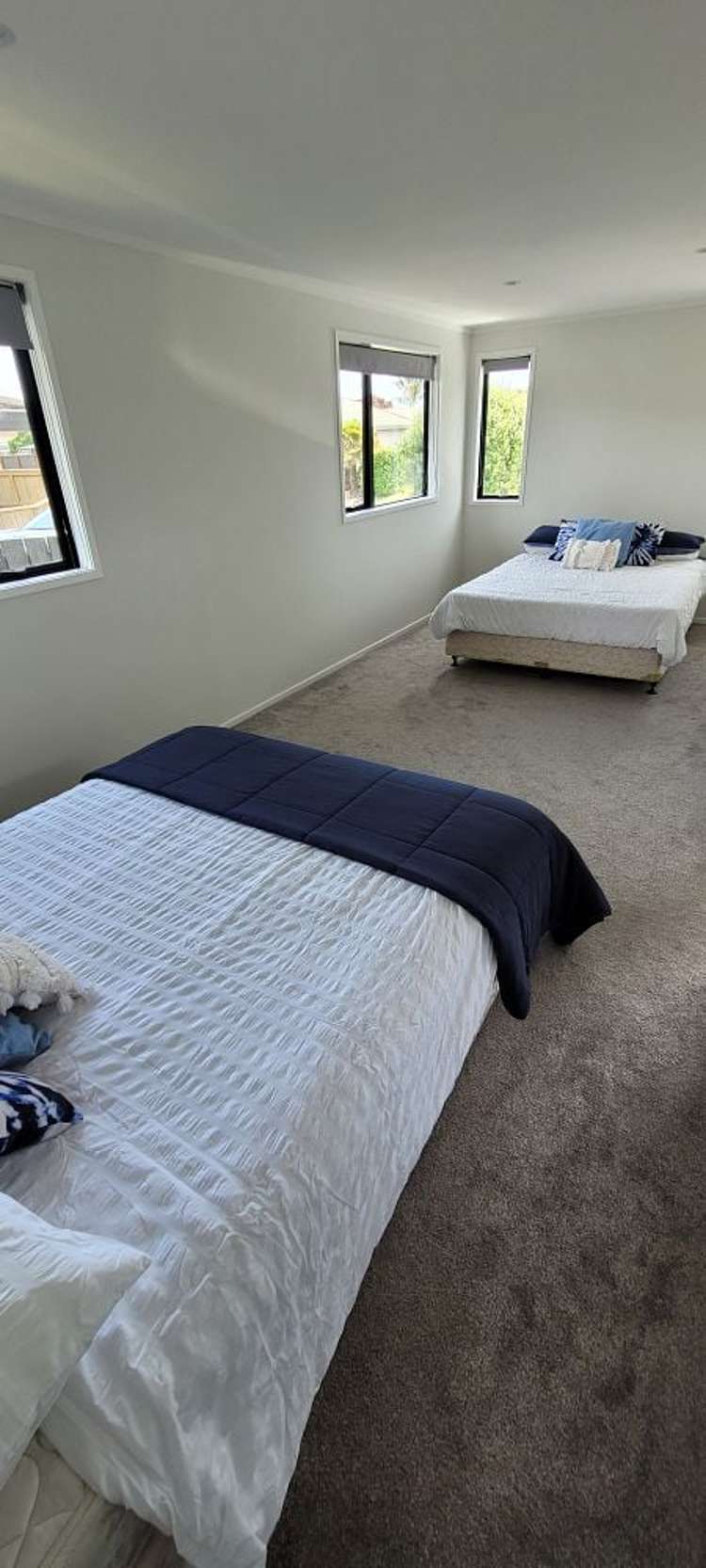 7b Poinsettia place Mount Maunganui_11
