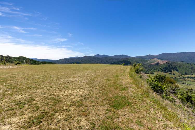 Cable Bay Road Hira_21