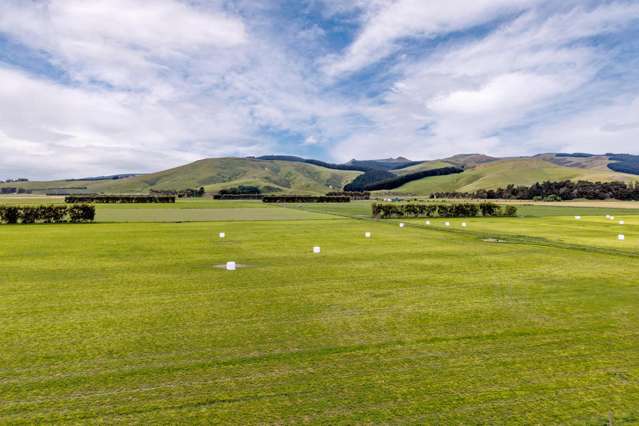 Christchurch Akaroa Road Tai Tapu_3