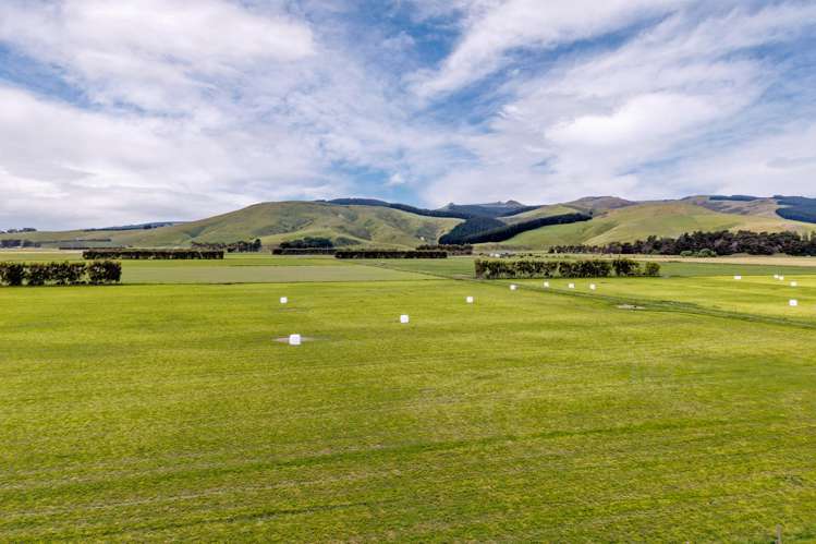 Christchurch Akaroa Road Tai Tapu_3