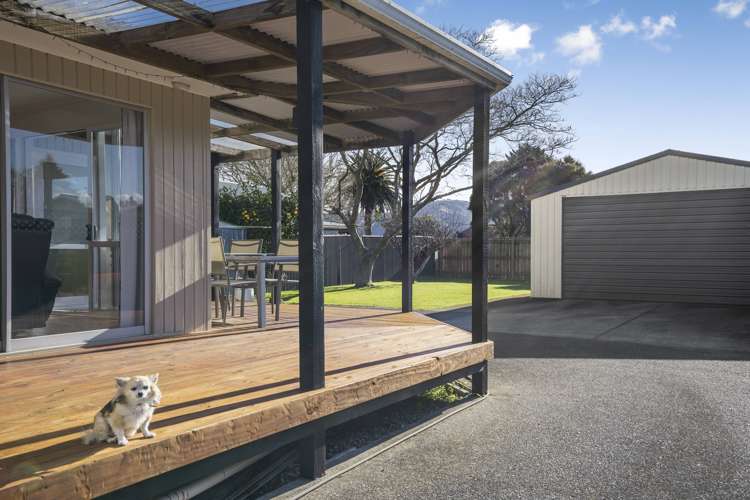 267 Oxford Terrace Avalon_14