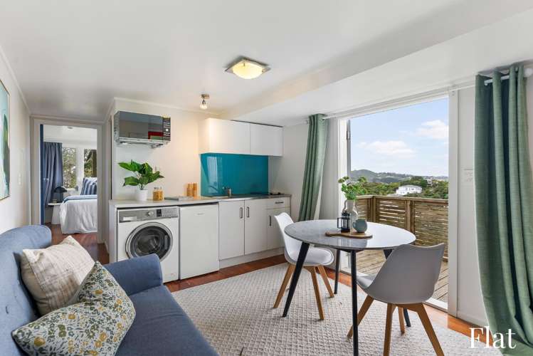 20 Pearce Street Vogeltown_11