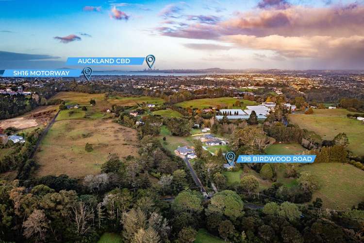 198 Birdwood Road Massey_18