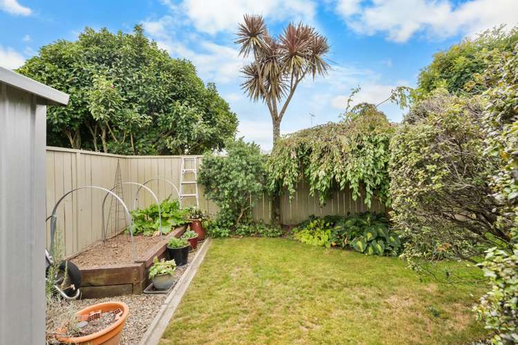 14 Alba Place Cambridge_23