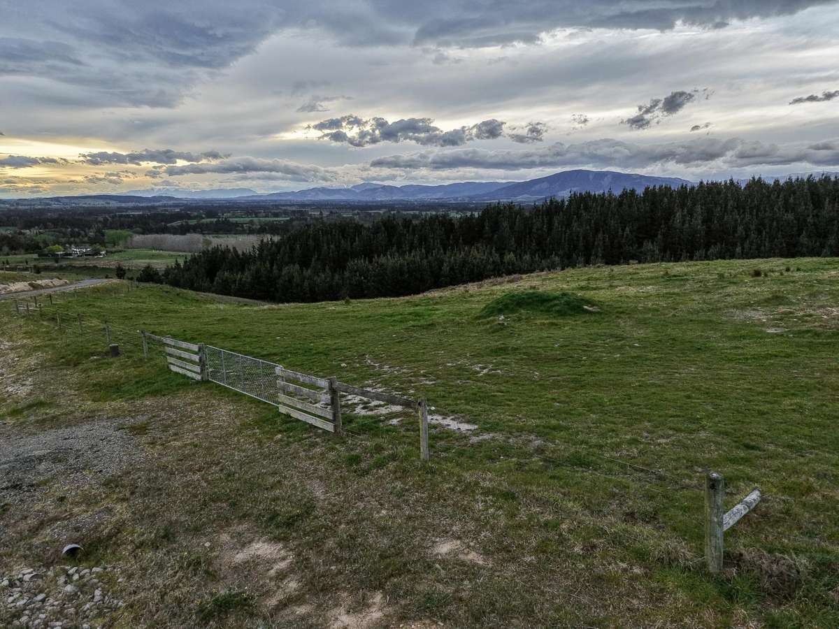 17 Mission Downs Lane_4