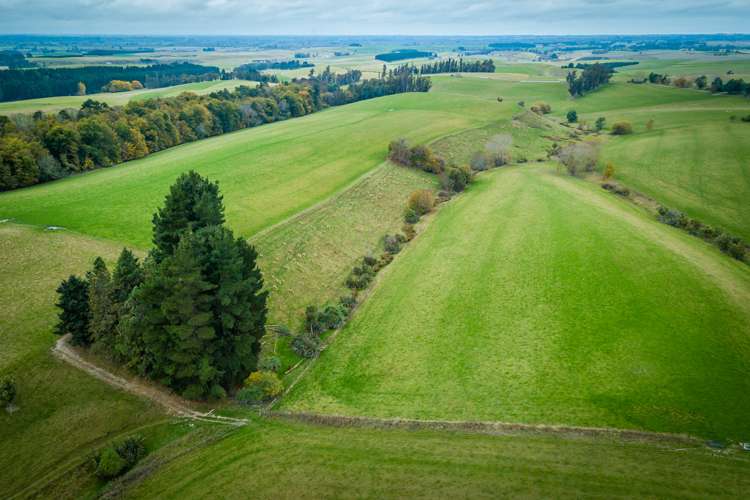 55 Dinda Road Waitohi_5