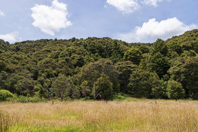 726d Ngunguru Ford Road Kiripaka_30